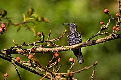 经典复活 《恐惧效应》即将登陆本世代主机和PC平台